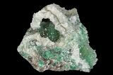 Atacamite & Quartz Crystal Association - Peru #98167-1